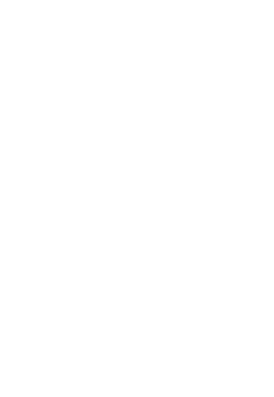 GUIDI logo